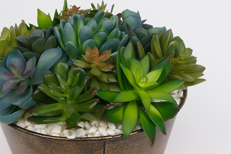 Arreglo-Plantas-Suculentas-Artificiales-con-Macetas-de-Hierro-Maceta-de-Flores-Suculentas-para-Decoración-de-Hogar-y-Hotel (4).jpg 